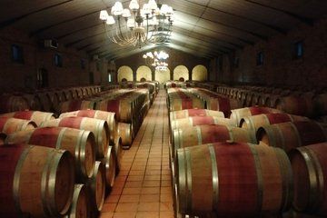 Cape Town Tasting Exclusive Pinotage Wine Private Tour