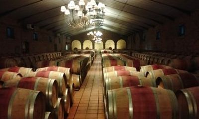 Cape Town Tasting Exclusive Pinotage Wine Private Tour