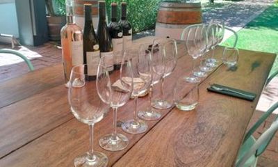 Cape Town: Signature Pinotage Experience – Private Wine Journey!