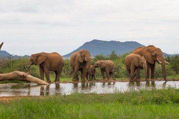 Johannesburg to Kruger National Park 2 Day Small Group Tour