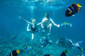 Cabo Catamaran Snorkel Cruise with Open Bar & Snack