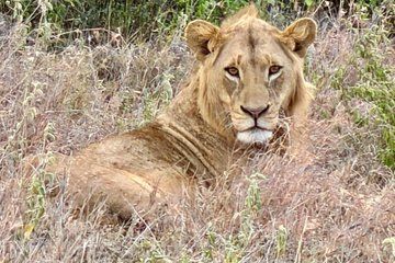 10 Day Kenya Safari Tour Adventure