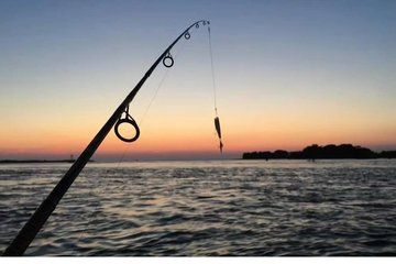 Fishing Activity in Fyrisan Uppsala with Local Guide
