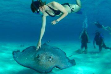 Water Adventure in Stingray City