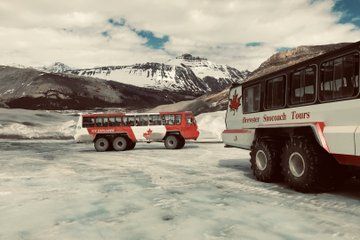 Columbia Icefield & Jasper Private Tour→Icefields| Lakes|Glaciers