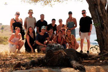 Komodo Island Open Trip 2 Days 1 Night (Shared Cabin Option)