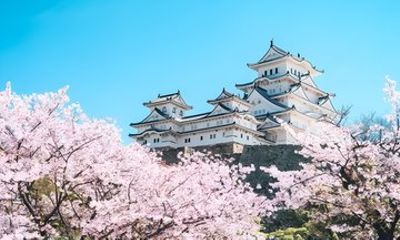 Himeji Private Custom Tour with Local Guide
