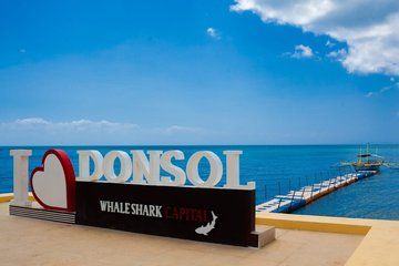 Donsol Private Transportation and Tour