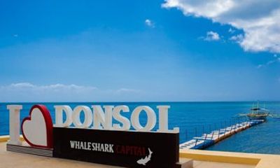 Donsol Private Transportation and Tour
