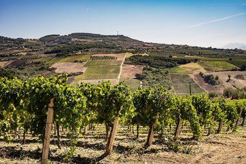 Private Janare Witches Wine Tour Lunch 6 Wines and Sommelier