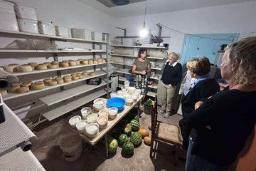 Naxos Producers Showcase Cheese Olive Oil Honey Tastings
