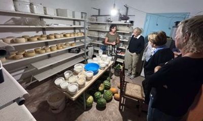 Naxos Producers Showcase Cheese Olive Oil Honey Tastings