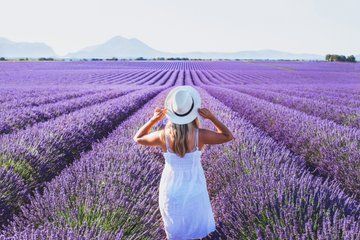 Private Tour with Lavender Fields and Local Flavor from Marseille