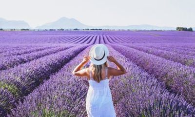 Private Tour: Provence Lavender & Local Flavors from Marseille