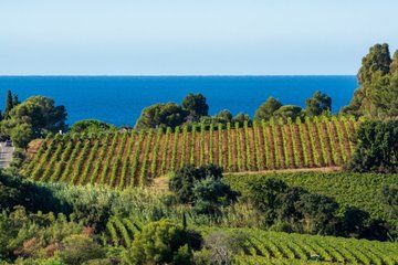 Private Shore Tour Provence Wine Tasting and Scenic Villages