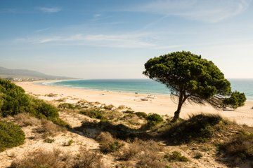 Private Shore Tour from Seville Port to Tarifa and Bolonia
