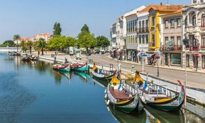 4 Hour Traditional Aveiro Portuguese Food Tour