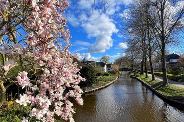 Zaanse Schans and Giethoorn Day Tour with Lunch and Boat Cruise
