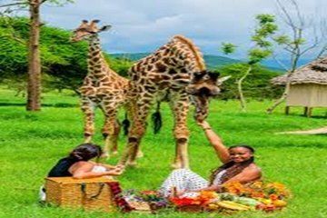 Full Day Wildlife Adventure at JKT Ruvu Camp from Dar es Salaam