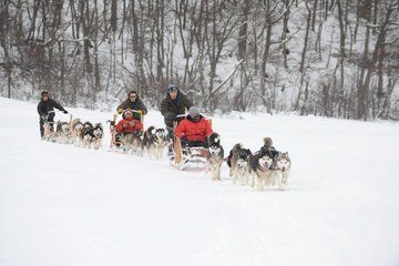 White Adventure Sleigh Ride and Snowmobile