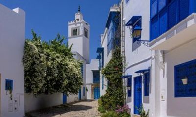 Excursion VIP Tunis Medina, Bardo Carthage & Sidi BouSaid