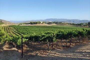 Cycling and Guided Wine Tasting in Solvang CA
