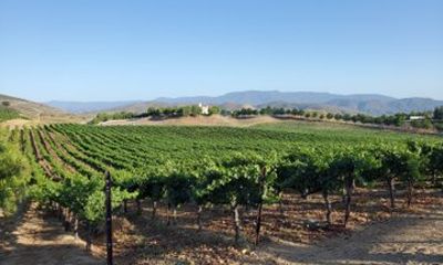 Cycling and Guided Wine Tasting in Solvang CA