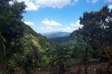 Green Magic of Zion Authentic Rainforest Experience