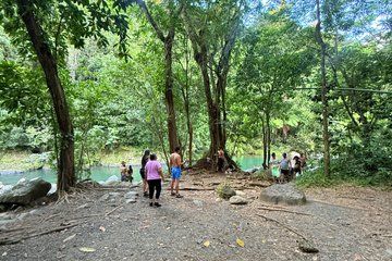 El Yunque Rainforest Rain Forest Trail