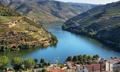 Wine Villages & Douro Views Private Shore Tour from Lamego