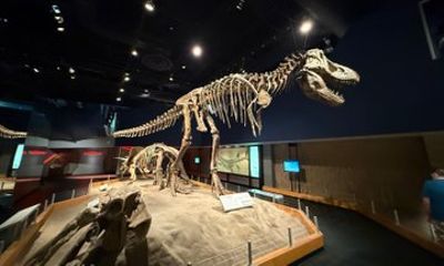 Drumheller & Hoodoos Day Trip from Calgary, Explore the Badlands