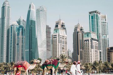 Dubai City Tour