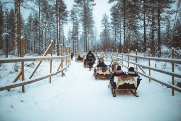 Early Winter Reindeer Sleigh Ride 1-2km