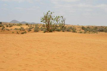 Jeep Safari 4x4 Mini Sahara Desert with Berber Lunch