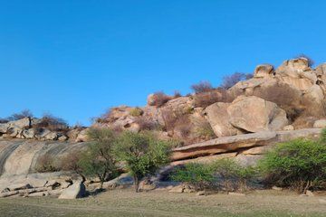 Udaipur - Jodhpur Jawai Safari, Ranakpur & Khumbhalgarh Fort Tour