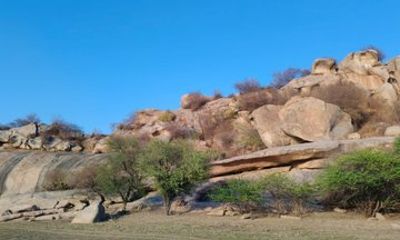 Udaipur - Jodhpur Jawai Safari, Ranakpur & Khumbhalgarh Fort Tour