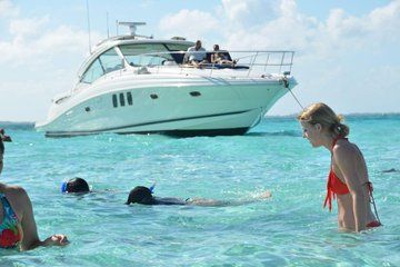 VIP 48ft SeaRay Charter Stingray City Starfish Point & Snorkeling