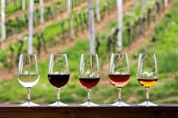 Temecula Weekend Wine Tasting Exeperience With Lunch