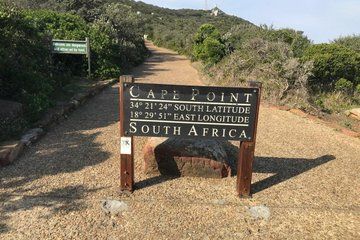 Full-Day Cape of Good Hope Tour Including Boulders Beach Penguins