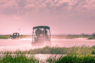 Miami Everglades Airboat Tour with Wildlife Show and Transport
