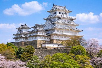 Kobe and Himeji castle Tour English Driver and Vehicle