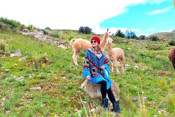 From Puno Day trip to Chucuito, Aramu Muru and Juli