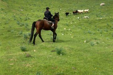 Samarkand Horseback Riding Tour with Pickup and Drop off