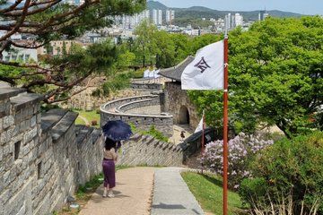 Escape Seoul for a Day: Private UNESCO Fortress Tour in Suwon