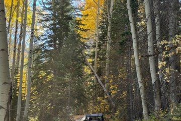 Extreme 2 Hour Uinta Mountains Adventure UTV Rental