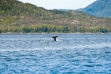 Ketchikans Favorite Cultural and Historical Sites