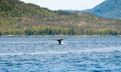 Ketchikans Favorite Cultural and Historical Sites