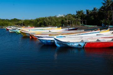 Boquilla Tour; Typical Lunch, Horseback Riding and Native Music