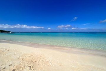 Roatan West Bay Beach Break with Roundtrip Transfer