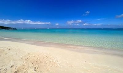 Roatan West Bay Beach Break with Roundtrip Transfer